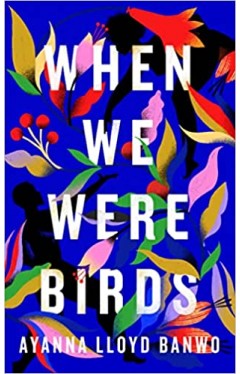 When We Were Birds: Ayanna Lloyd Banwo